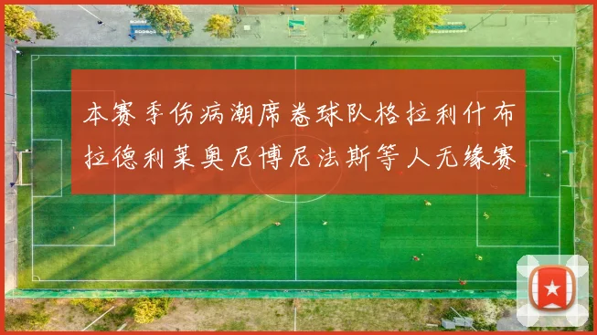 本赛季伤病潮席卷球队格拉利什布拉德利莱奥尼博尼法斯等人无缘赛季余下比赛
