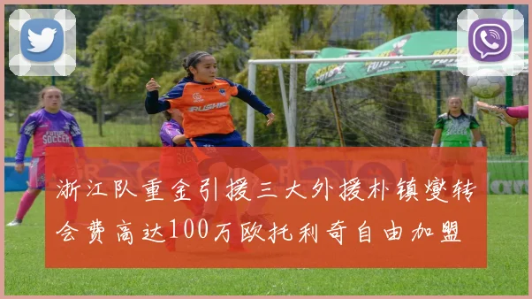 浙江队重金引援三大外援朴镇燮转会费高达100万欧托利奇自由加盟