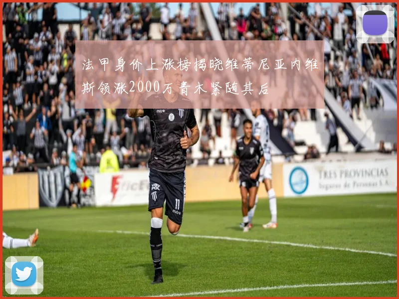 法甲身价上涨榜揭晓维蒂尼亚内维斯领涨2000万青木紧随其后