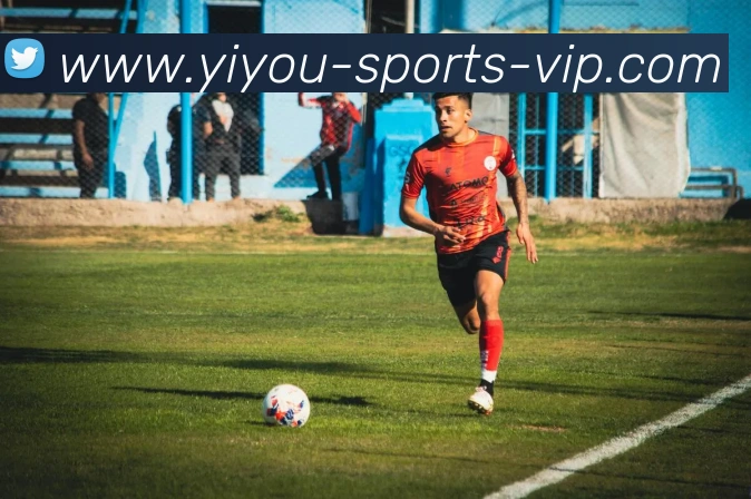 易游体育发展历程